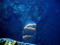 Volcanoes underwater?